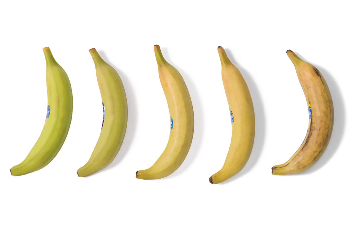 Chiquita bananas plantains