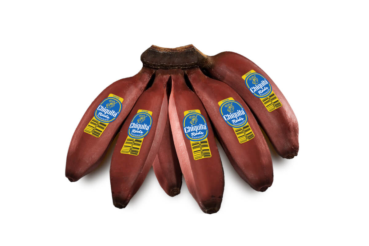 Chiquita Reds bananas