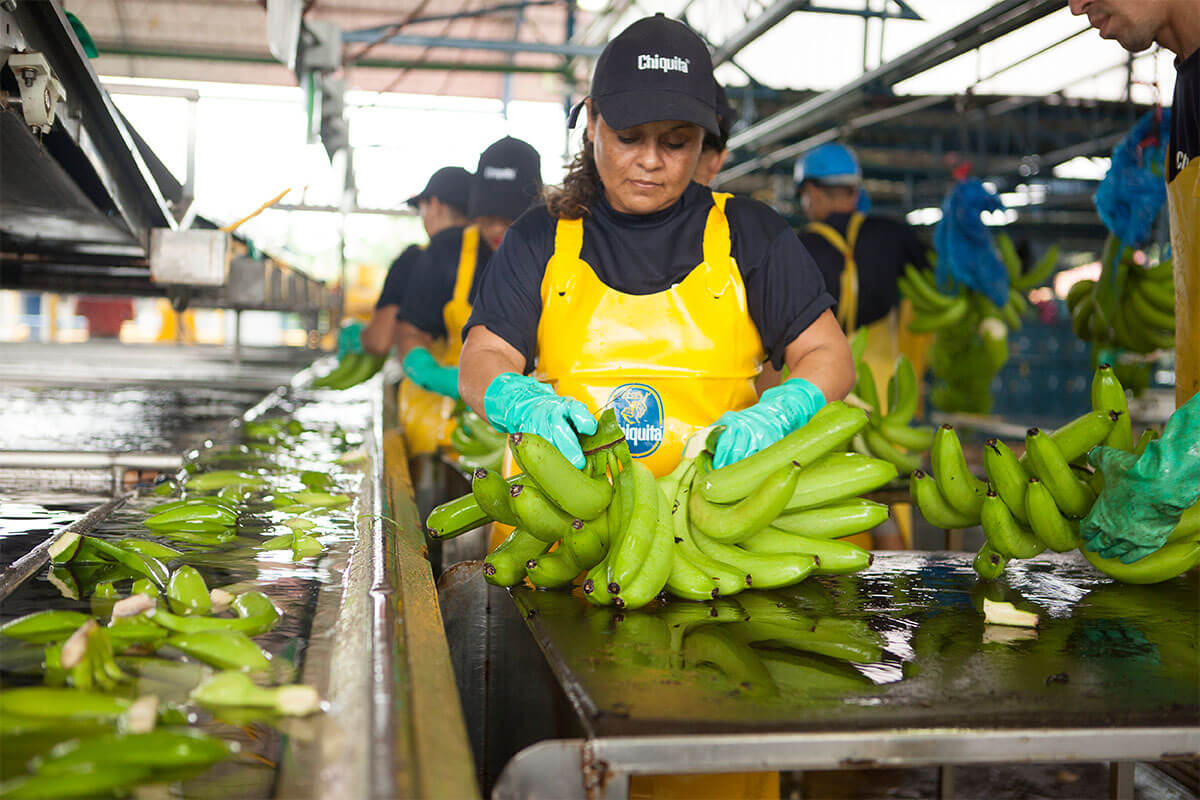 Chiquita sustainability water saving