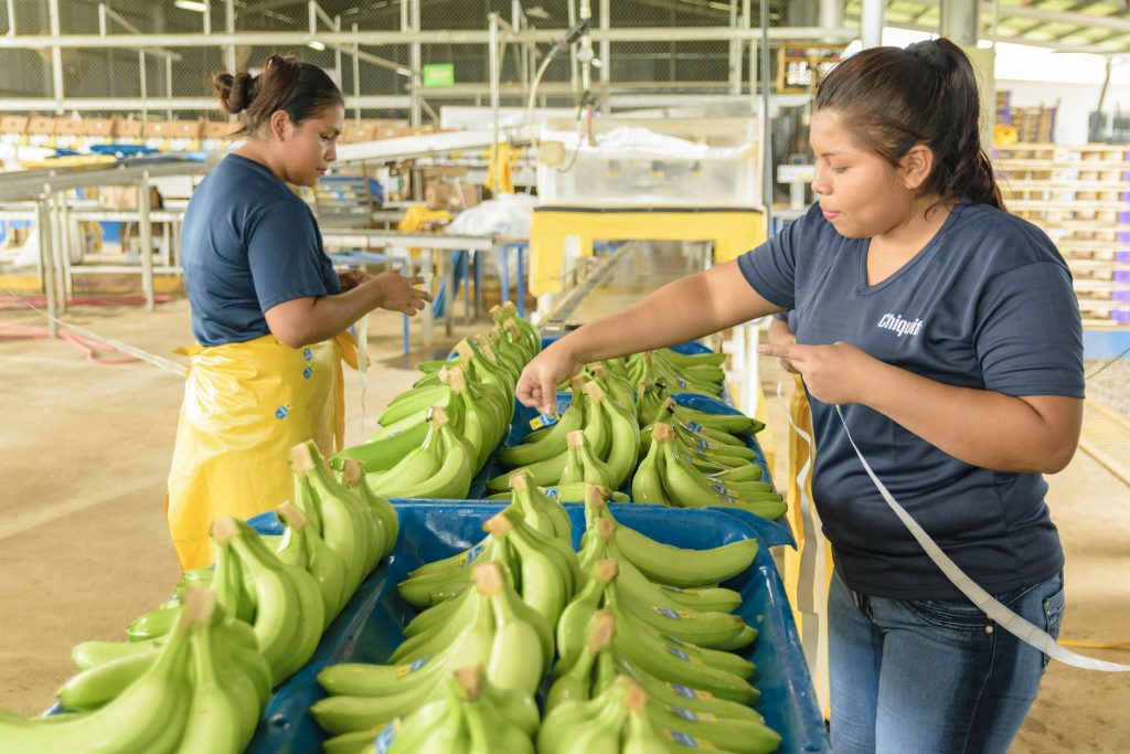 Chiquita worker 
