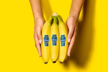 Homepage_Chiquita_Banana_the_eveverything_fruit